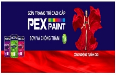 pexpaint   cong nghe hoi tu dinh cao