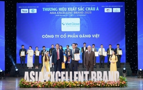 viet glove   kh   ng    nh v  th    l  t   top 10 th   ng hi u xu   t s   c ch  u    2025  