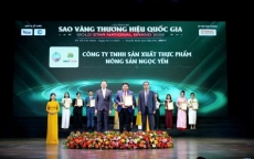 doanh nh  n hu  nh v  n b     ng   i truy  n c   m h ng t  h   t mu i qu   h   ng