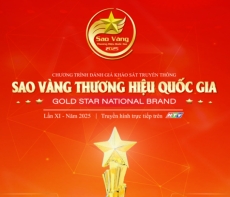 v v ti   p nh  n h  s     ng k   ch   ng tr  nh    sao v  ng th   ng hi u qu  c gia 2025   
